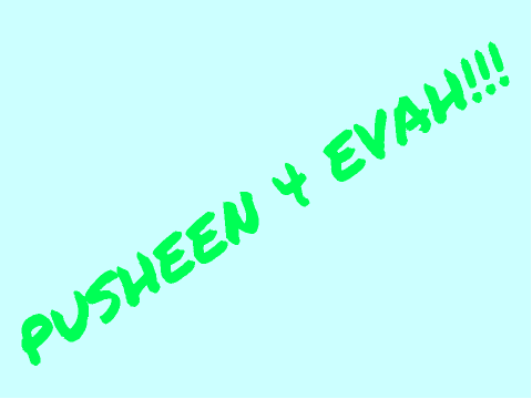 Pusheen 4 Evah!!!