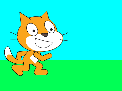 Walking Scratch Cat