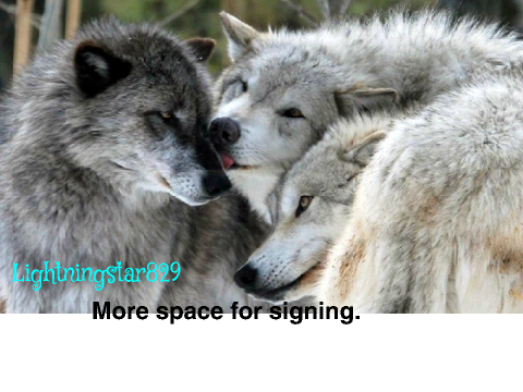 Sign To Stop Wolf Hunting: remix remix remix!!!! :) remix remix remix