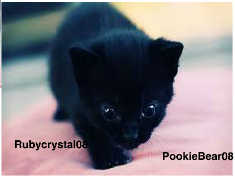 sign if you are an animal lover!! remix remix