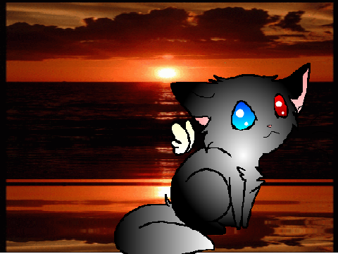 Angel cat  CC remix