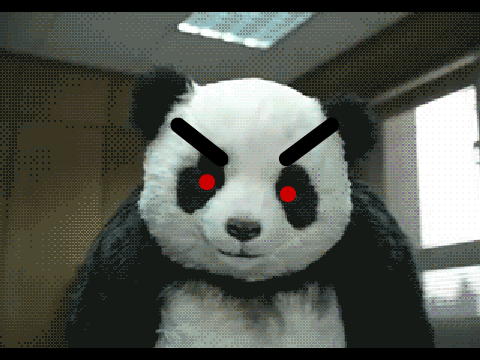 REALLY angry panda
