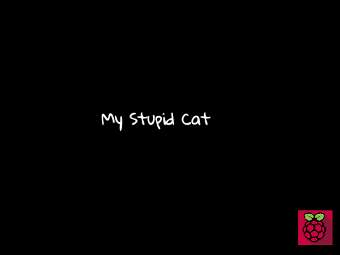 My Stupid Cat