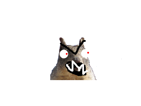 I AM A CAT!!!!!!!!!!meow meow meowwwww...meow