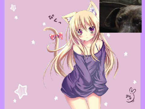 my profile remix