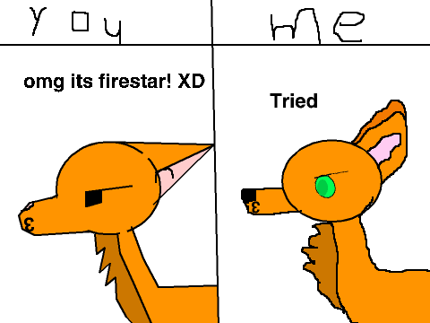 I messed it up kinda