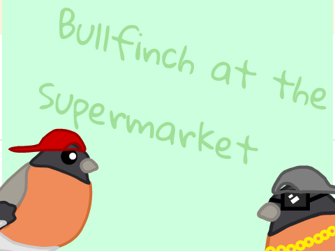 4. Bullfinch at the Supermarket