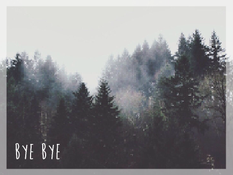 + Bye Bye + remix
