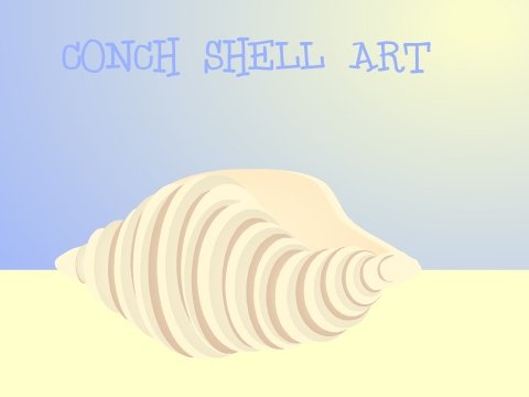 Conch Shell Art