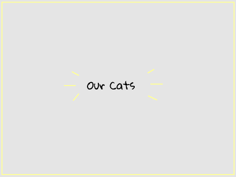 Our Cats || A collab with @twentyonepilotsgeek