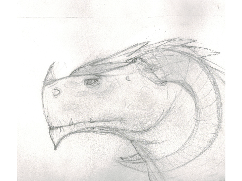 Zufulong sketch 