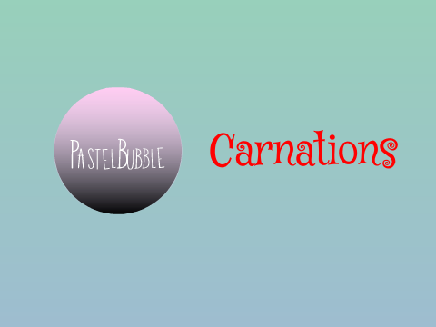 Carnations remix