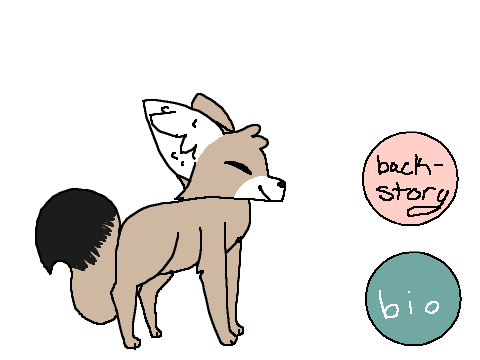 Foxcraft Rp - Bio
