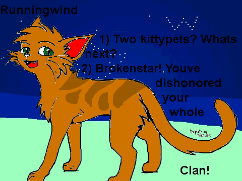 my own stupid little tryout. (why did i do this again?)