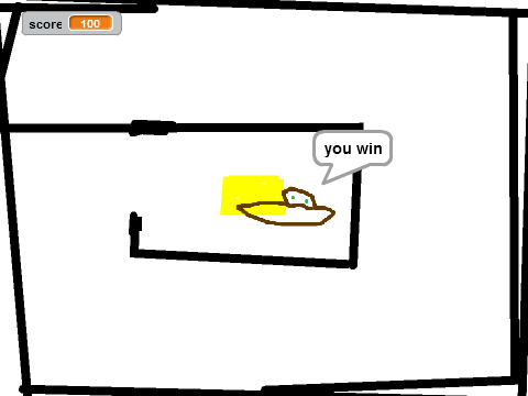 The maze.