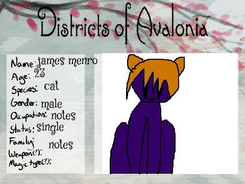 Template for Districts of Avalonia RPG remix-3