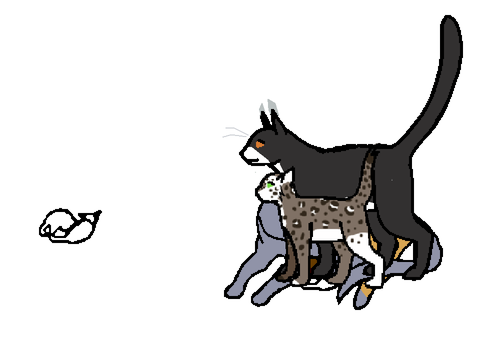 WarriorsYD NPCs