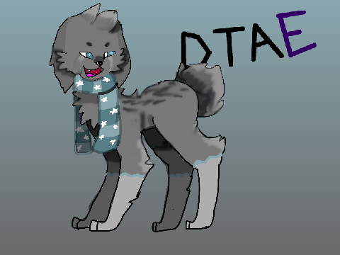 50+ DTAE