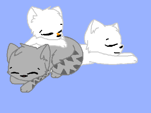 Forest cats ~ Family