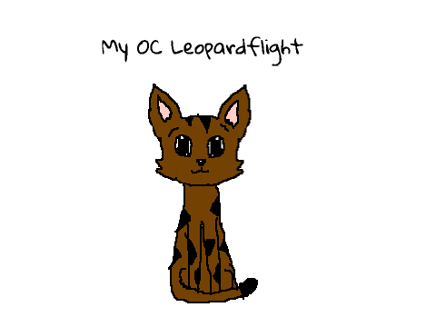 My OC Leopardflight