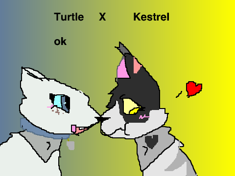 Turtle X Kestrel 