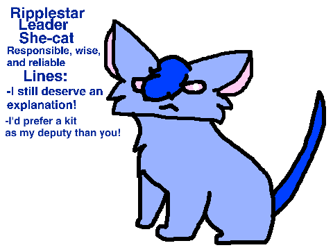 BATTLE OF STARCLAN -  AUDITIONS