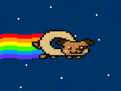 NYAN DOG!!!!!!!!!!!!!!