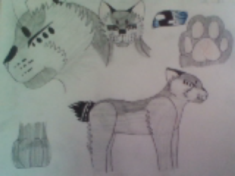 |:|Xler's Series: Silver's Design|:|