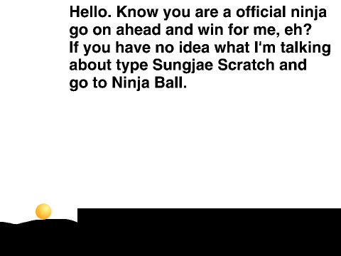 the ninja ball