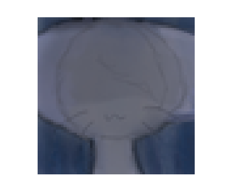 Icon for Dulcheii