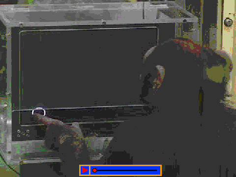 Chimp Video