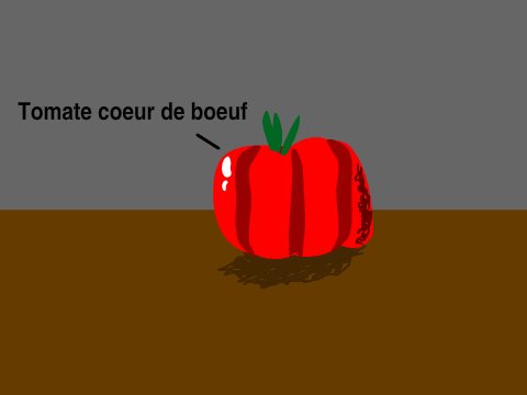 Concours Caramalou manche 2