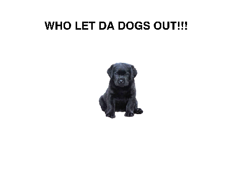 PUPPY BOWL WHO LET DA DOGS OUT PARTY