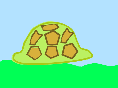 Turtle 