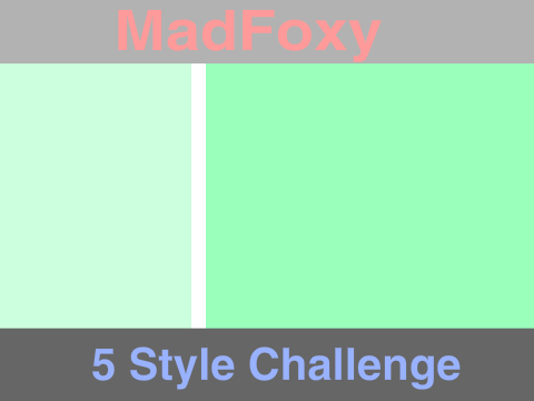 5 Style Challenge