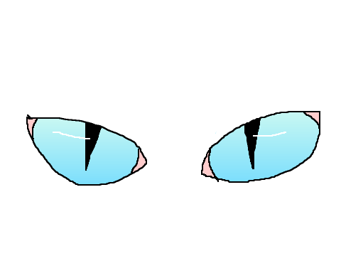 Animation Practice