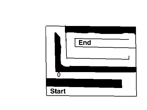 Maze