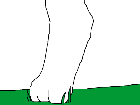 More Animation Practice (Funzies)
