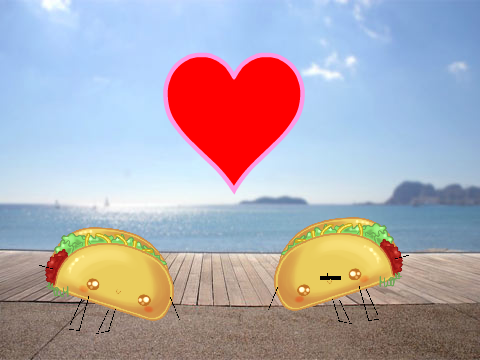 taco love