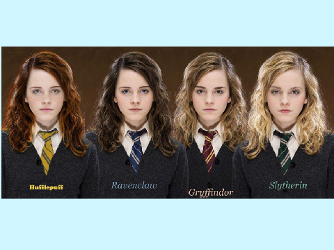 Hermione houses!