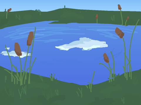Background #5 Reflective Pond