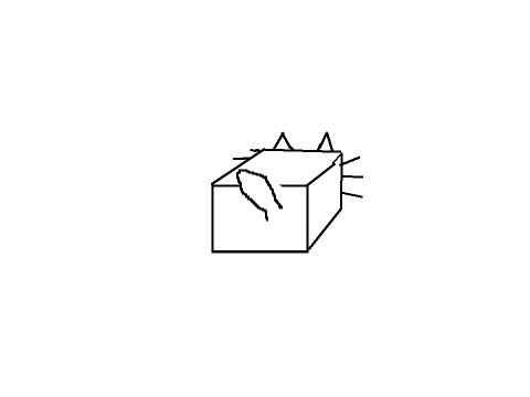 What Nyan sees!