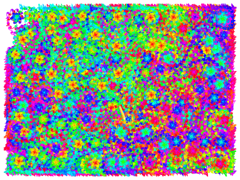 Euler Spiral Randomizer
