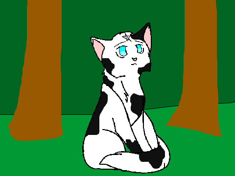 lily-heart's cat