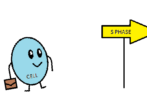 Cell Project