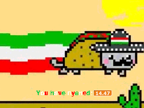 Nayan cat (taco version)