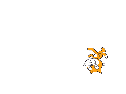 colorfullcat