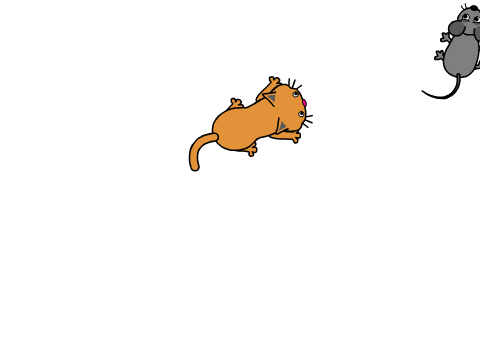 Chasing Mouse