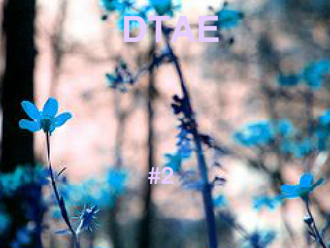 {} DTAE {} 