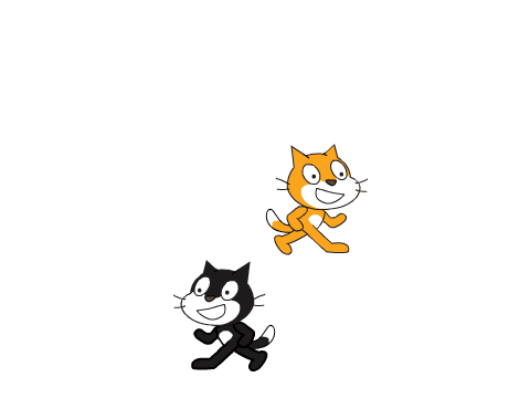 Walking Cats